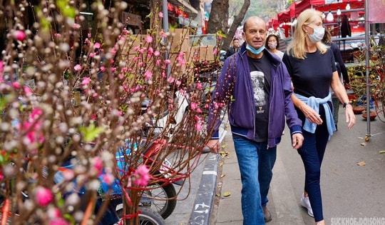 Chợ hoa Hàng Lược mỗi năm chỉ mở một lần hấp dẫn khách quốc tế