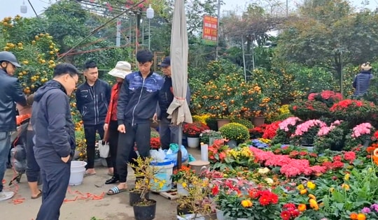 Phố phường rộn ràng không khí mua sắm Tết