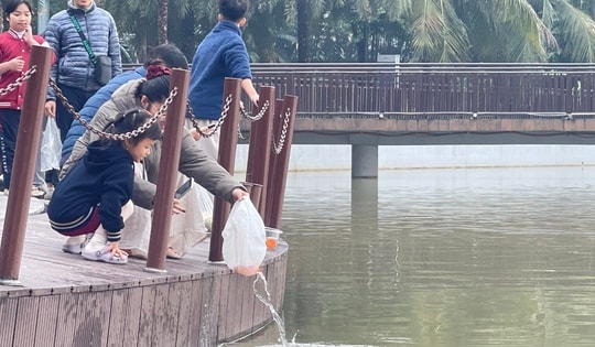 Đưa cả gia đình đi thả cá chép ngày ông Công ông Táo