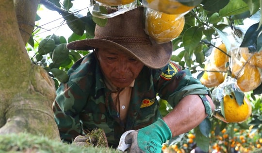 Tất tả mưu sinh ngày cận Tết