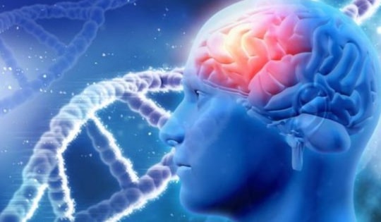 Siêu âm mở hướng điều trị mới cho các bệnh nhân trầm cảm