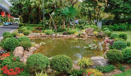 Nhà ga Quốc tế Đà Nẵng vận hành hồ cá sinh thái từ nước thải tái chế