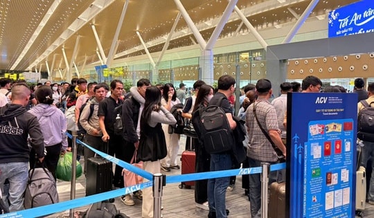 TPHCM kiểm tra thân nhiệt toàn bộ hành khách nhập cảnh để ngừa virus Nipah