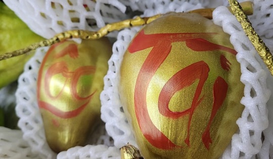 Loại quả dát vàng chỉ bán ngày Tết vì quan niệm mang 'lộc', 'tài', giá đắt đỏ vẫn 'cháy' hàng