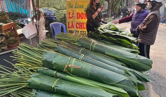 Chợ lá dong tại Hà Nội 'nhuộm xanh' những ngày giáp Tết