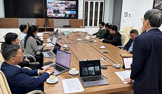 Chủ động phòng dịch dịp Tết, sẵn sàng ứng phó nguy cơ vi rút Nipah