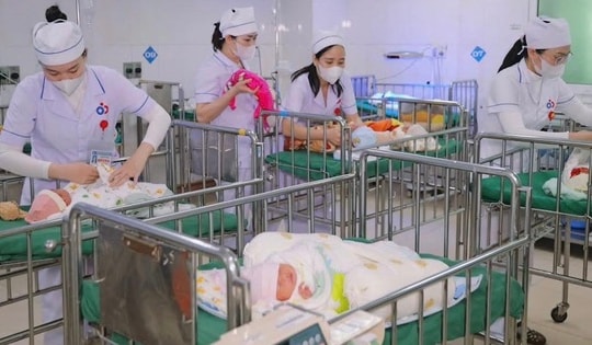 Lá chắn trắng giữa mùa Xuân