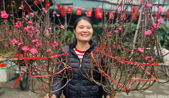 Sắc màu Tết quê giữa lòng Thủ đô