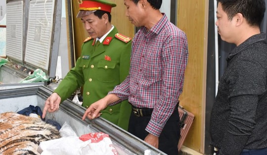 Đột kích hầm ngầm kiên cố, thu giữ hai cá thể hổ quý hiếm