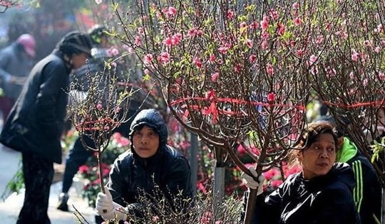 Miền Bắc tăng nhiệt, hửng nắng vào trưa chiều