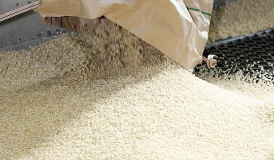 Giá gạo Ấn Độ và Thái Lan ít biến động trước thềm Tết Nguyên đán