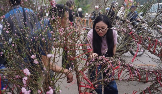 Người dân háo hức đi săn đào quất "đồng giá'