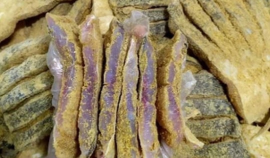 Bộ Y tế vào cuộc vụ người dân nghi ngộ độc sau ăn cá ủ chua