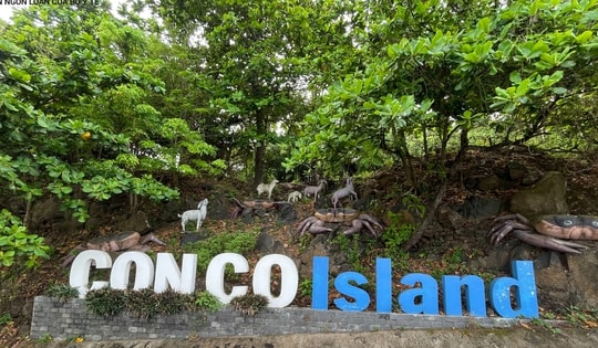 Tết bệnh viện (4): Những 'chiến sĩ áo trắng' nơi đảo tiền tiêu