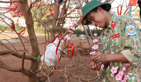 Bác sĩ Việt Nam tại Phái bộ Liên Hợp Quốc giữ trọn hương Xuân