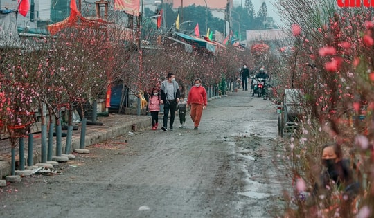 Đợt không khí lạnh đúng Tết Nguyên đán kéo dài đến khi nào?