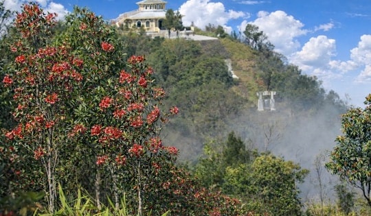 Say đắm sắc hoa mùa xuân giữa đại ngàn Bạch Mã