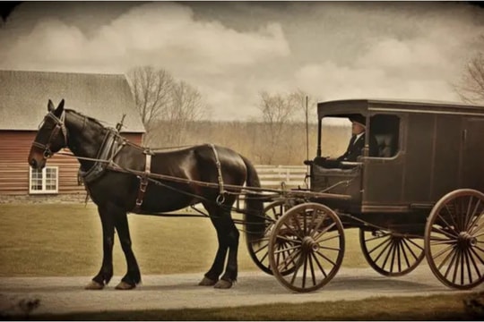 Sự thật về thiết kế ô tô: Những di sản từ thời xe ngựa