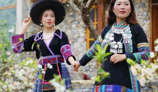 Xuân thức giấc trên cao nguyên đá Đồng Văn