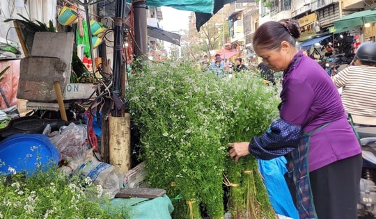 Giữ hương Tết xưa bằng nồi nước mùi già đầu năm, giá chỉ từ 20.000 đồng/bó