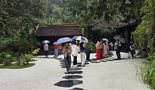 Khách thập phương đội mưa xuân vãn cảnh chùa Địa Tạng Phi Lai