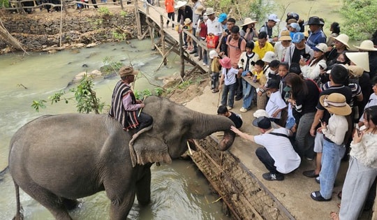 Hàng nghìn du khách đổ về Đắk Lắk đầu năm mới 2026