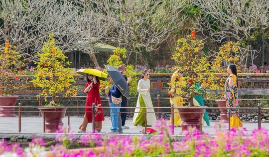 Di sản Huế 'khoác áo xuân' lộng lẫy, du khách quốc tế nườm nượp đổ về