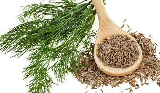 Loại rau gia vị bán khắp chợ không ngờ lại có nhiều tác dụng quý