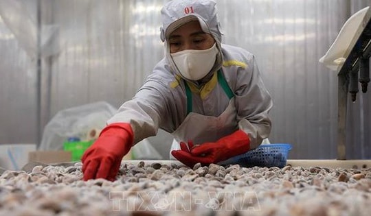 Mở rộng dư địa xuất khẩu nông lâm thủy sản, hướng tới mục tiêu 74 tỷ USD