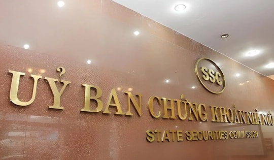 Solaris Việt Nam vi phạm lĩnh vực chứng khoán