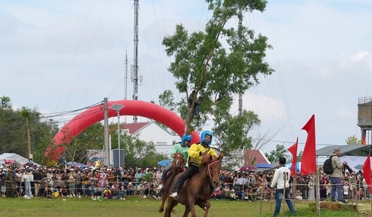 Hàng ngàn người dân thích thú xem nông dân trổ tài đua ngựa