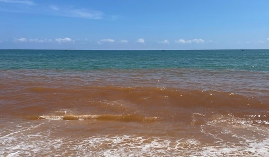 Nước biển ở Gia Lai đổi màu có nguy hiểm không?