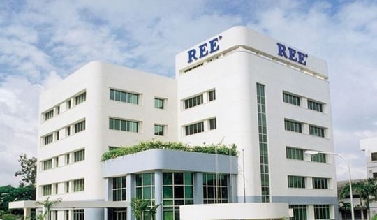 Quỹ Platium Victory Pte.Ldt mua hụt hơn 17,8 triệu cổ phiếu REE