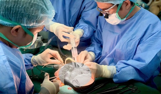 Bệnh viện Trung ương Quân đội 108: Khẳng định vị thế y học chuyên sâu và giữ vững y đức