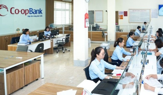 Thanh tra xác định một số tồn tại tại Co-opBank Ninh Bình