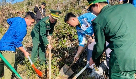 Tuyên Quang: Trồng 3.000 cây xanh ở vành đai biên giới Việt - Trung
