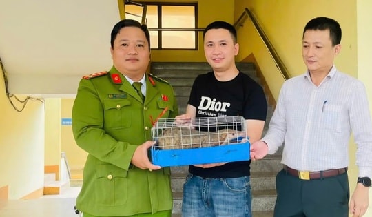 Phát hiện động vật quý hiếm 'đi lạc', người đàn ông giao nộp công an