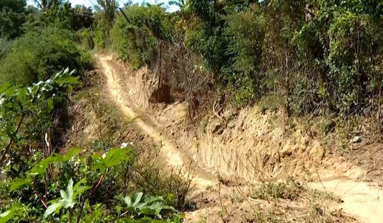 Bờ sông Lu sạt lở, 'nuốt' đường dân sinh, đe dọa đất sản xuất ở Khánh Hòa