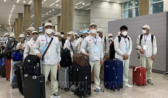 Tạm dừng đưa lao động Việt Nam sang Trung Đông để bảo đảm an toàn