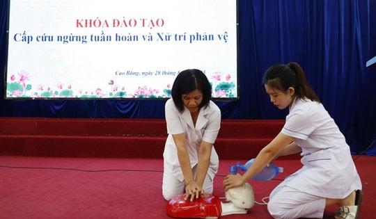 Bác sĩ, điều dưỡng Bệnh viện Bạch Mai cứu người qua cơn sinh tử ở bể bơi, siêu thị