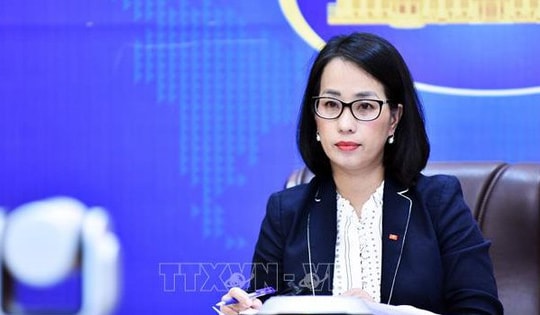 Việt Nam phản đối các hành vi sử dụng vũ lực tấn công vào các quốc gia có chủ quyền