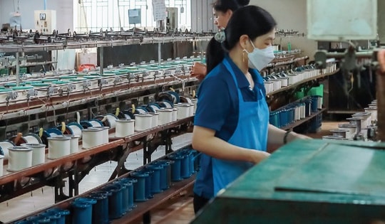 Tơ tằm Á Châu vi phạm chứng khoán