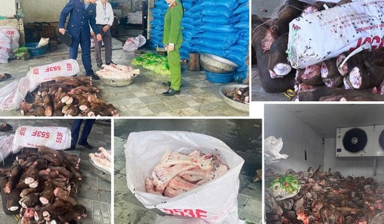 Kinh hoàng loạt thực phẩm bẩn bị thu giữ: Cá khoai nhiễm độc, lợn mắc dịch, nội tạng hôi thối