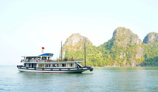 Siết chặt an toàn tàu du lịch trên vịnh Hạ Long và vịnh Bái Tử Long