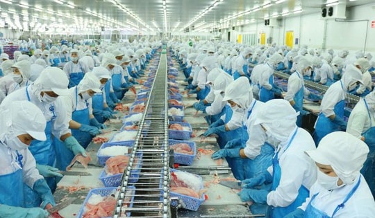 Theo dõi mua đối với cổ phiếu VHC