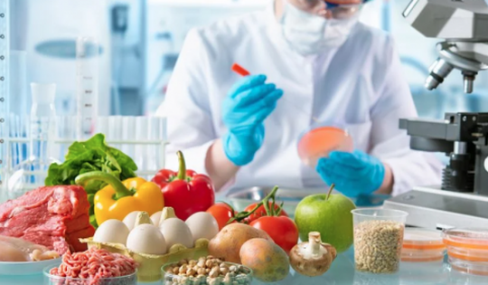 Giải thưởng Kovalevskaia năm 2025 vinh danh nhà khoa học nữ nghiên cứu có tính ứng dụng cao