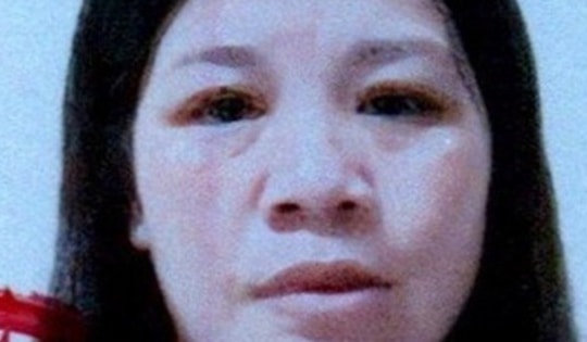 Giả tìm người mang thai hộ, người phụ nữ chiếm đoạt hơn 2,4 tỷ đồng