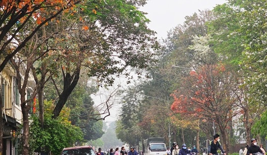 Miền Bắc sương mù vào sáng sớm, nắng mạnh vào trưa chiều