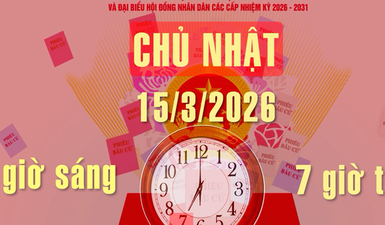 CLIP: 5 bước cử tri thực hiện khi đi bầu cử
