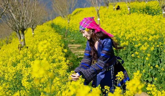 Sa Pa: 8/3 này, lên Fansipan 'săn' mây, ngắm hoa và xem show 'Đỉnh thiêng du ký'